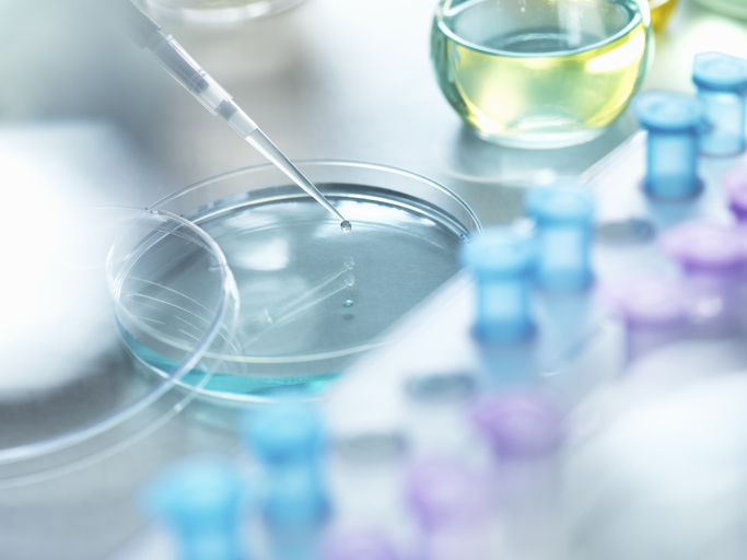 Photo shows scientist pipetting a sample into a petri dish during a experiment in the laboratory/Getty Images