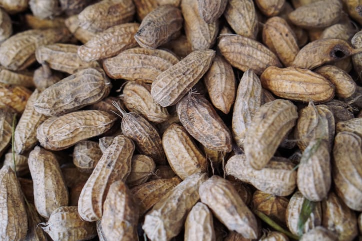 Photo shows a pile of peanuts