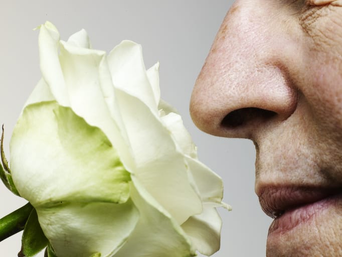 Photo shows man smelling a rose