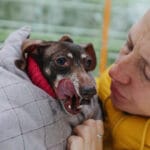 Woman holding older dog wrapped in a blanket