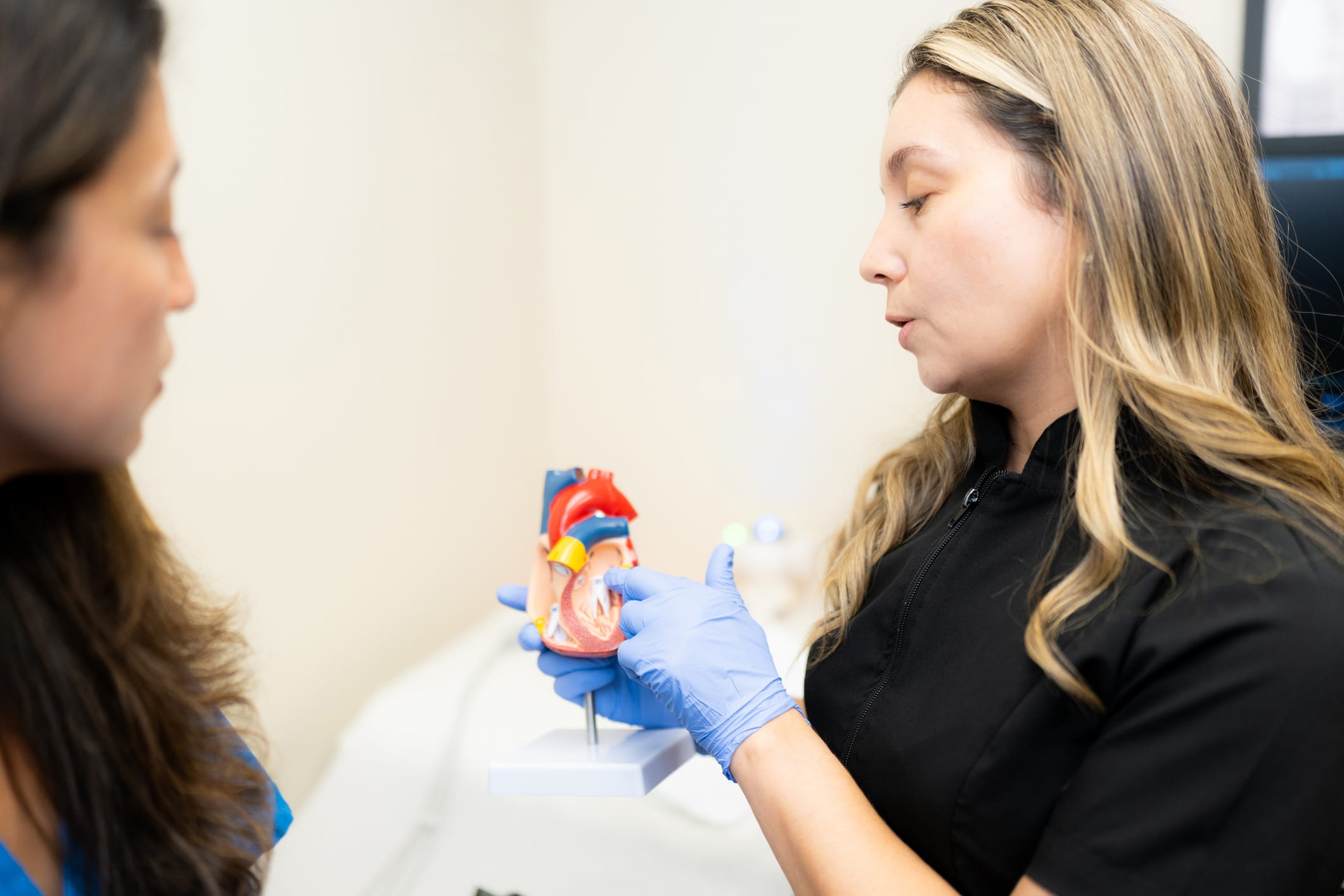 Medical professional wearing blue gloves showing an anatomical heart model to a focused patient during a cardiology consultation