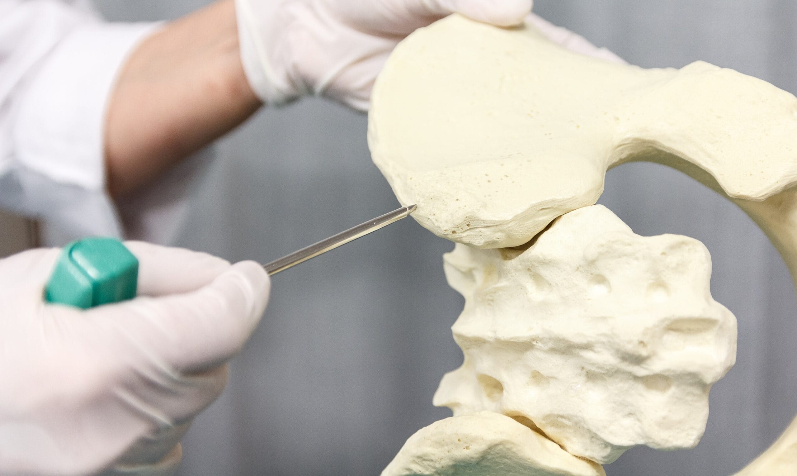 Model of a bone marrow biopsy at hip